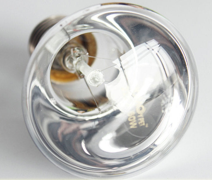 UVA Day Light | Pet Reptile Terrarium Globe