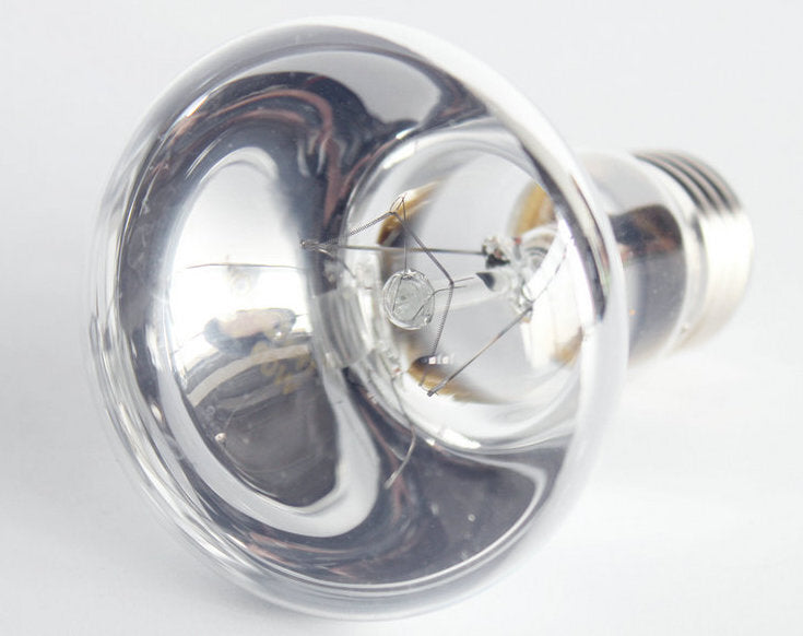 UVA Day Light | Pet Reptile Terrarium Globe