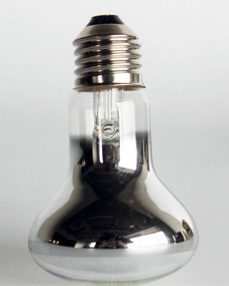 UVA Day Light | Pet Reptile Terrarium Globe