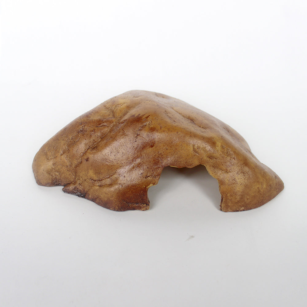 Reptile Brown Hide Cave