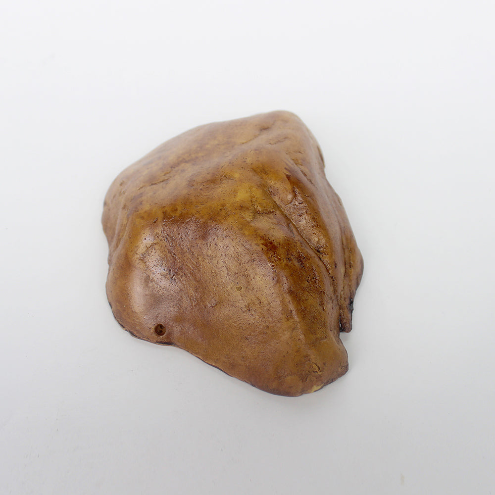 Reptile Brown Hide Cave