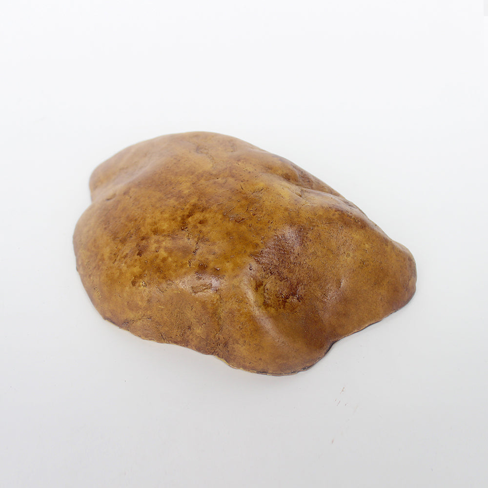 Reptile Brown Hide Cave