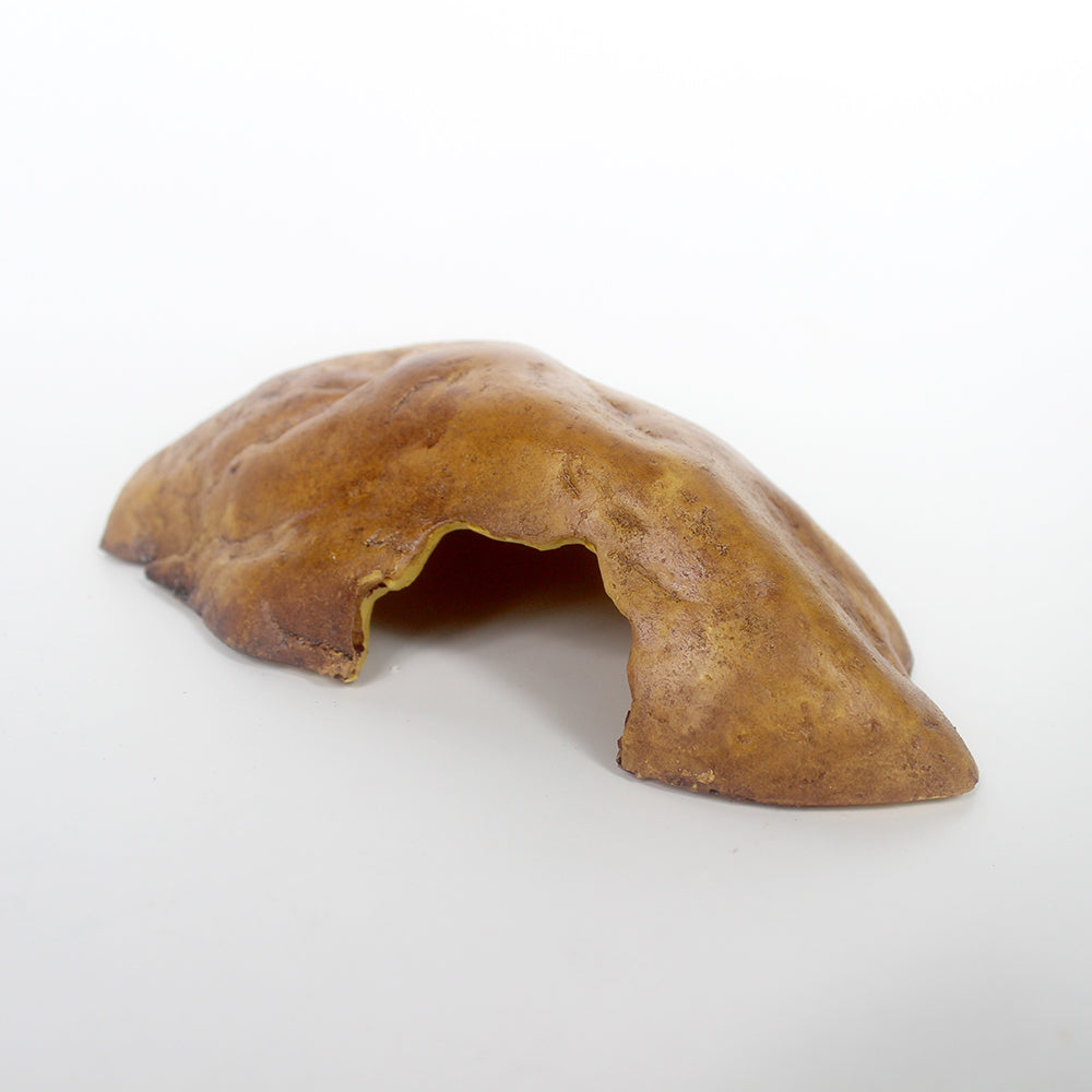 Reptile Brown Hide Cave