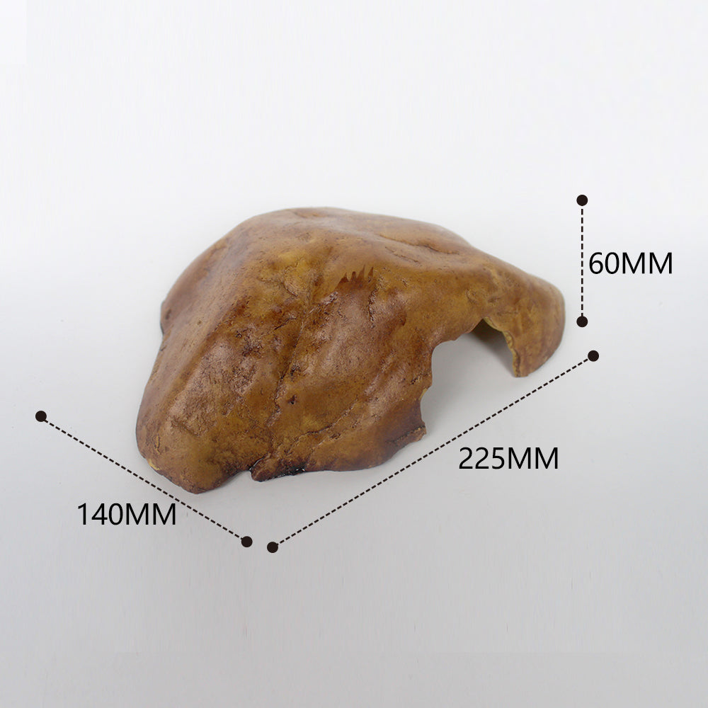 Reptile Brown Hide Cave