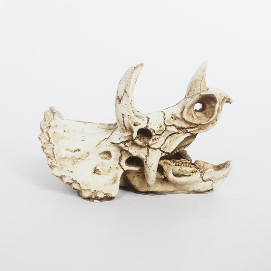Triceratops Dinosaur Skull Vivarium Decoration