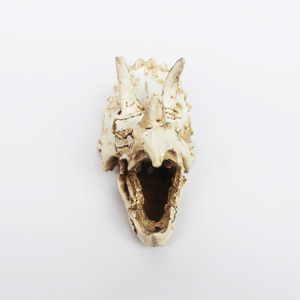 Triceratops Dinosaur Skull Vivarium Decoration