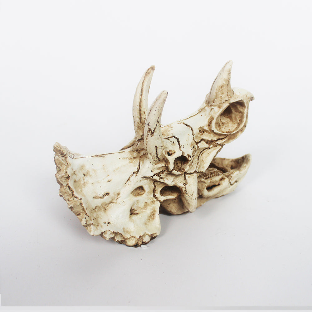 Triceratops Dinosaur Skull Vivarium Decoration