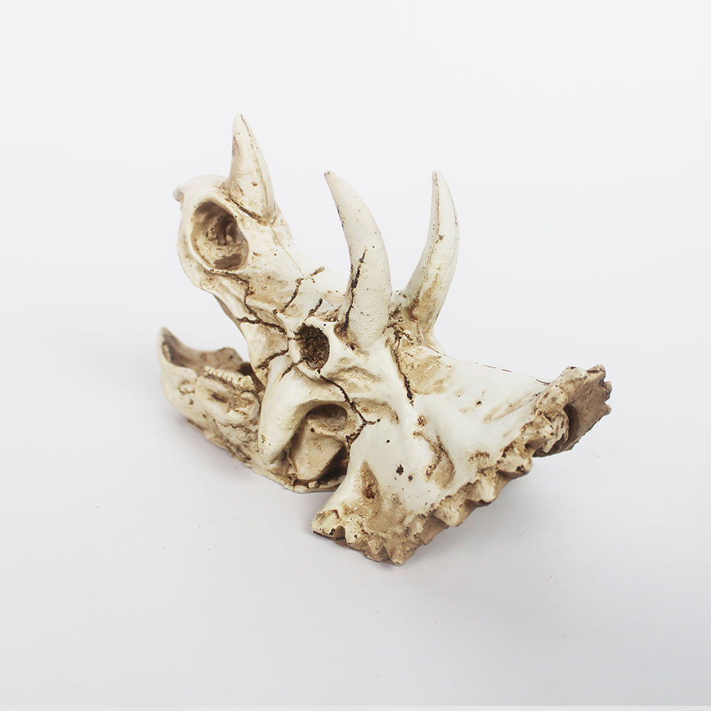 Triceratops Dinosaur Skull Vivarium Decoration