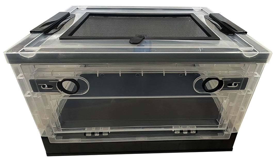 Live Hermit Crabs and Accessories PetWave Sydney