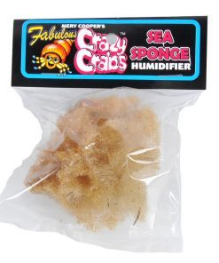 Crazy Crab Humidifier Sponges Bag for Pet Hermit Crabs | Crazy Crabs Humidifier | Online Hermit Crabs Australia