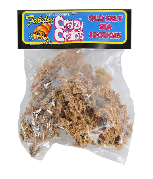 Crazy Crab Sea Sponges Bag for Pet Hermit Crabs | Crazy Crabs Calcium | Online Hermit Crabs Australia