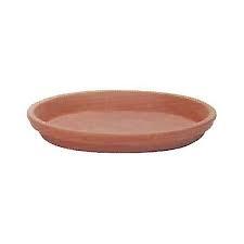 Natural Terracotta Water Shallow Dish | Water and Food Bowl for Hermit Crabs Online