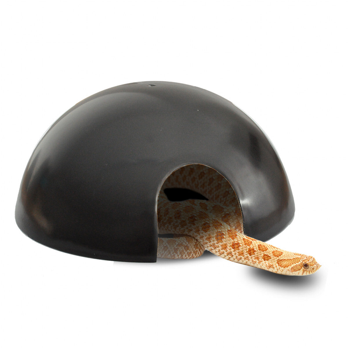 Black Plastic Reptile Round Breeder Hide Box | Live Hermit Crabs Shelter | Live Garden Snails