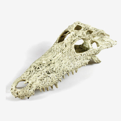 Crocodile Skull Vivarium Decoration