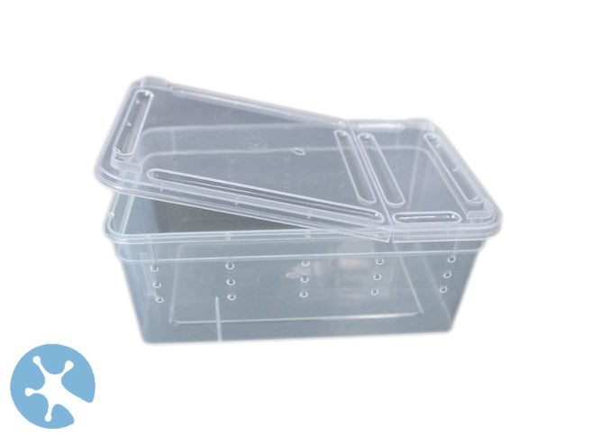 Live Reptile & Feeder Storage Box | Ventilated