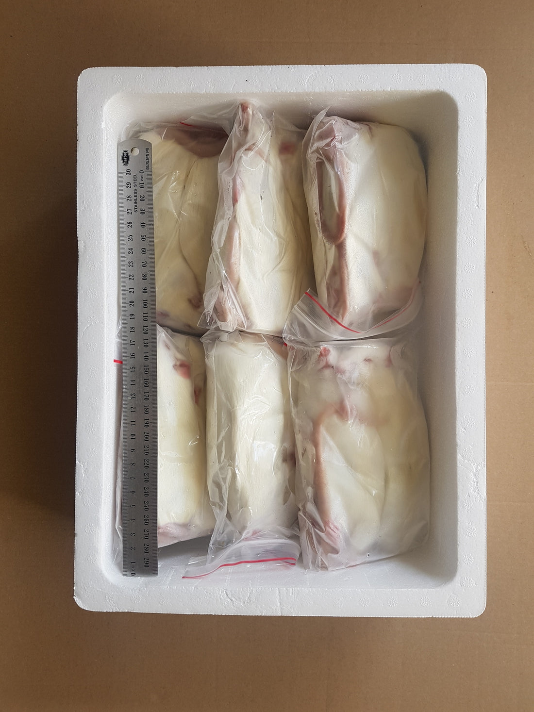 Beautiful view of Frozen-Thawed Rat Feeding Program