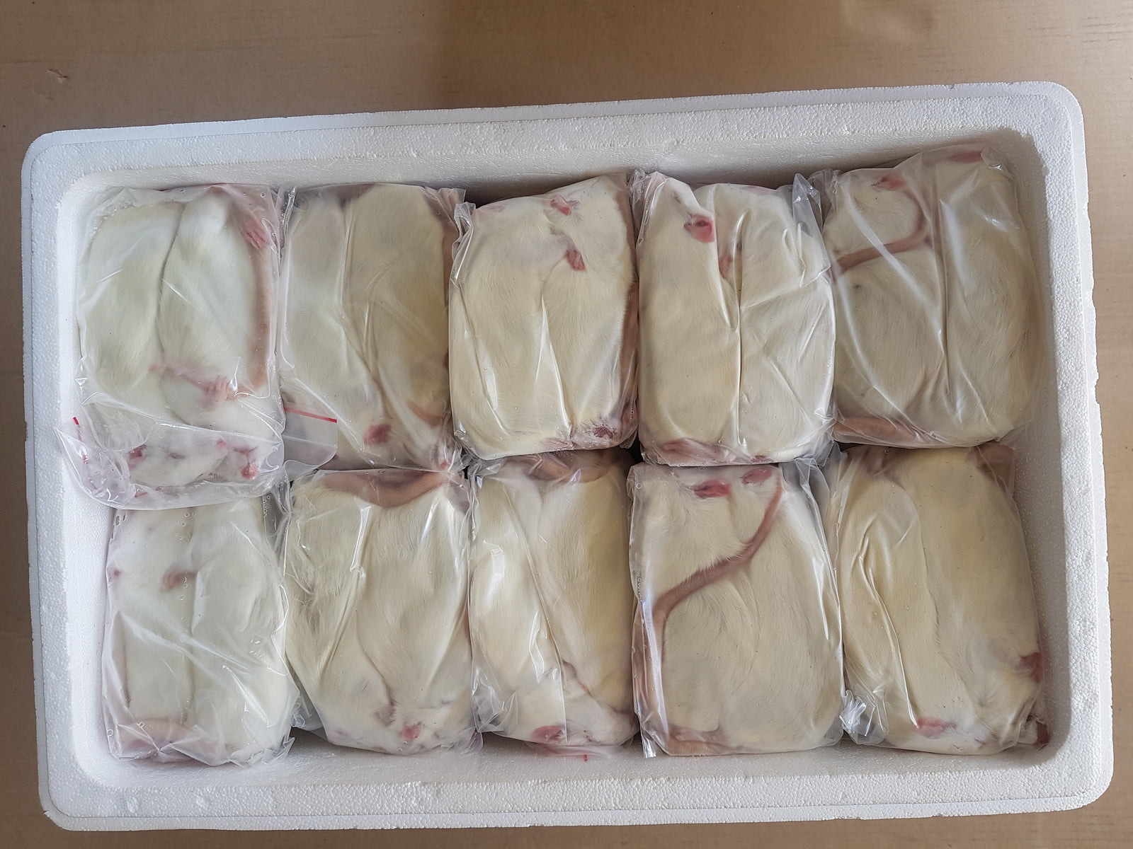 Illustration of Frozen Thawed Rat Diet And Feeding