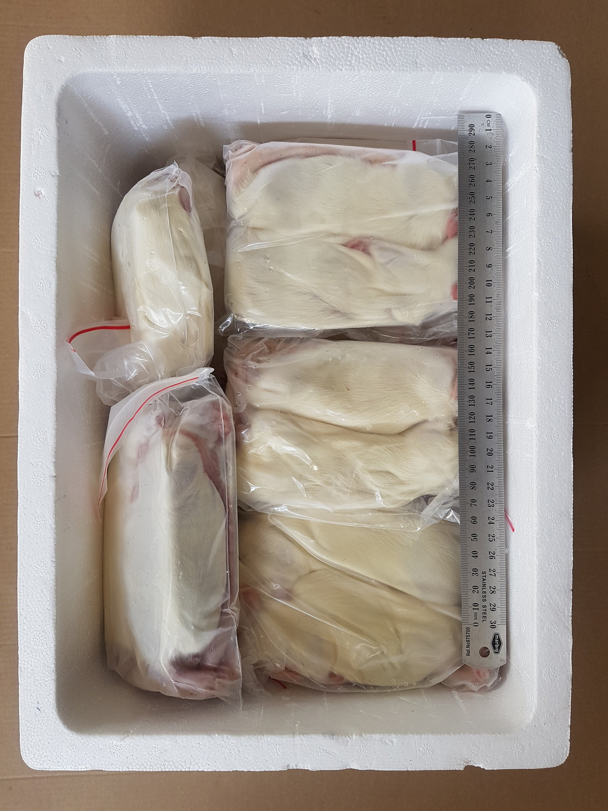 Curated visual reference: Curated Frozen Snake Meal Prep Business Gallery View 37