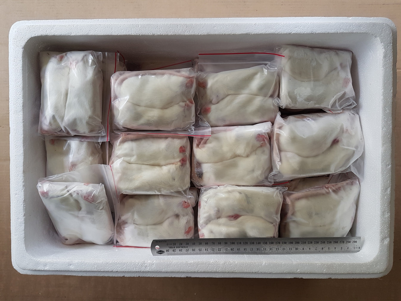 Beautiful view of Frozen Reptile Food Serving Sizes Thawing