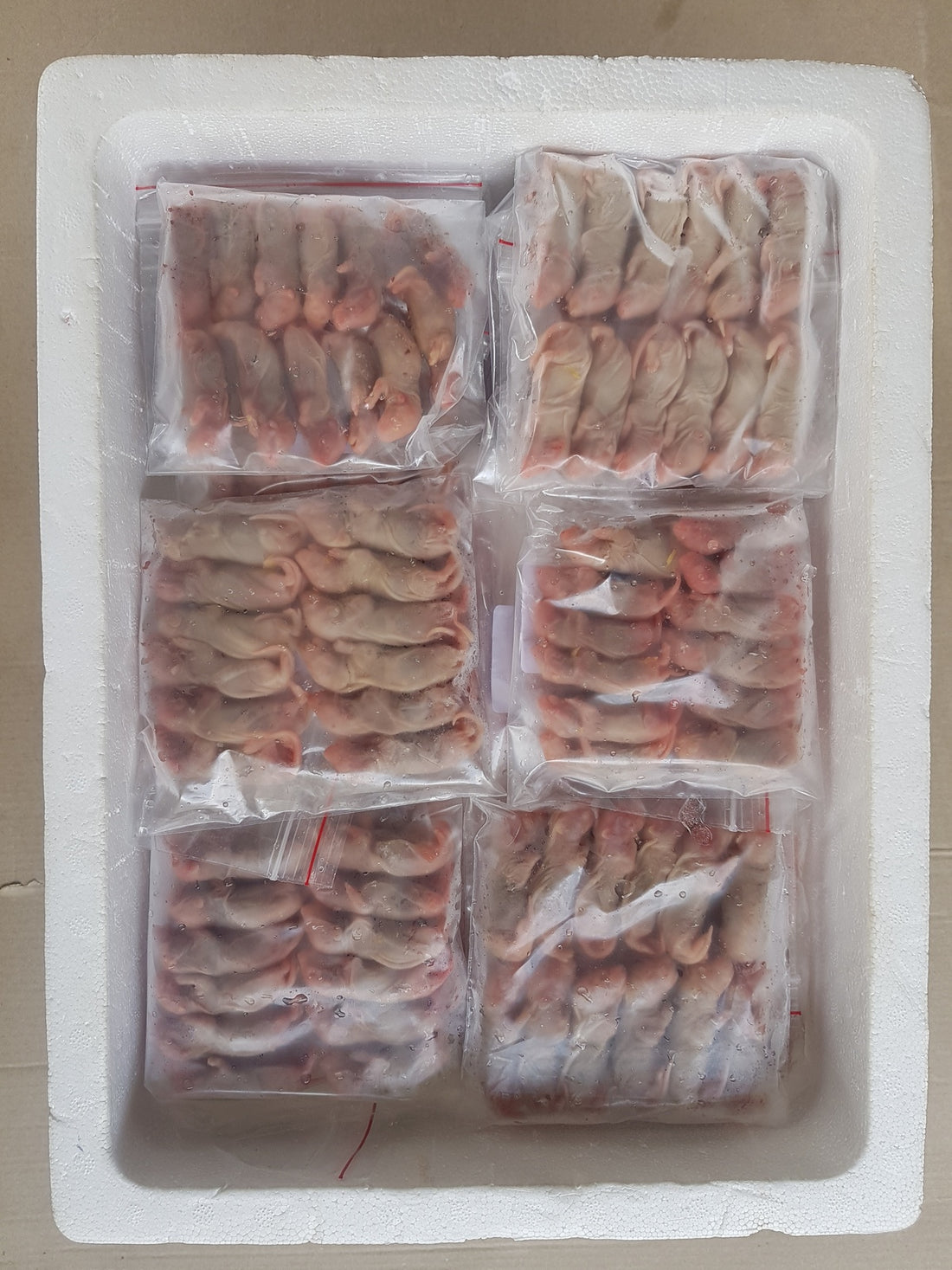 Frozen Pinkie Rats Best Online Frozen Reptile Food Supplier Frozen