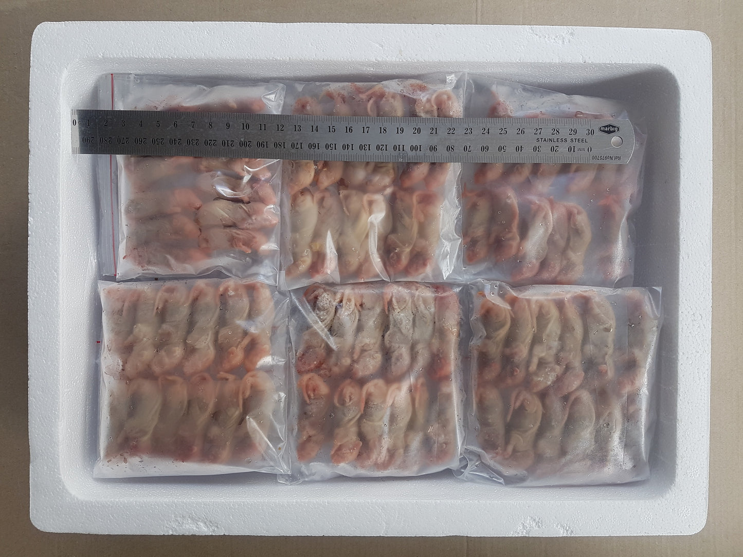 Illustration of Unhealthy Adult Python Frozen Thawed Food