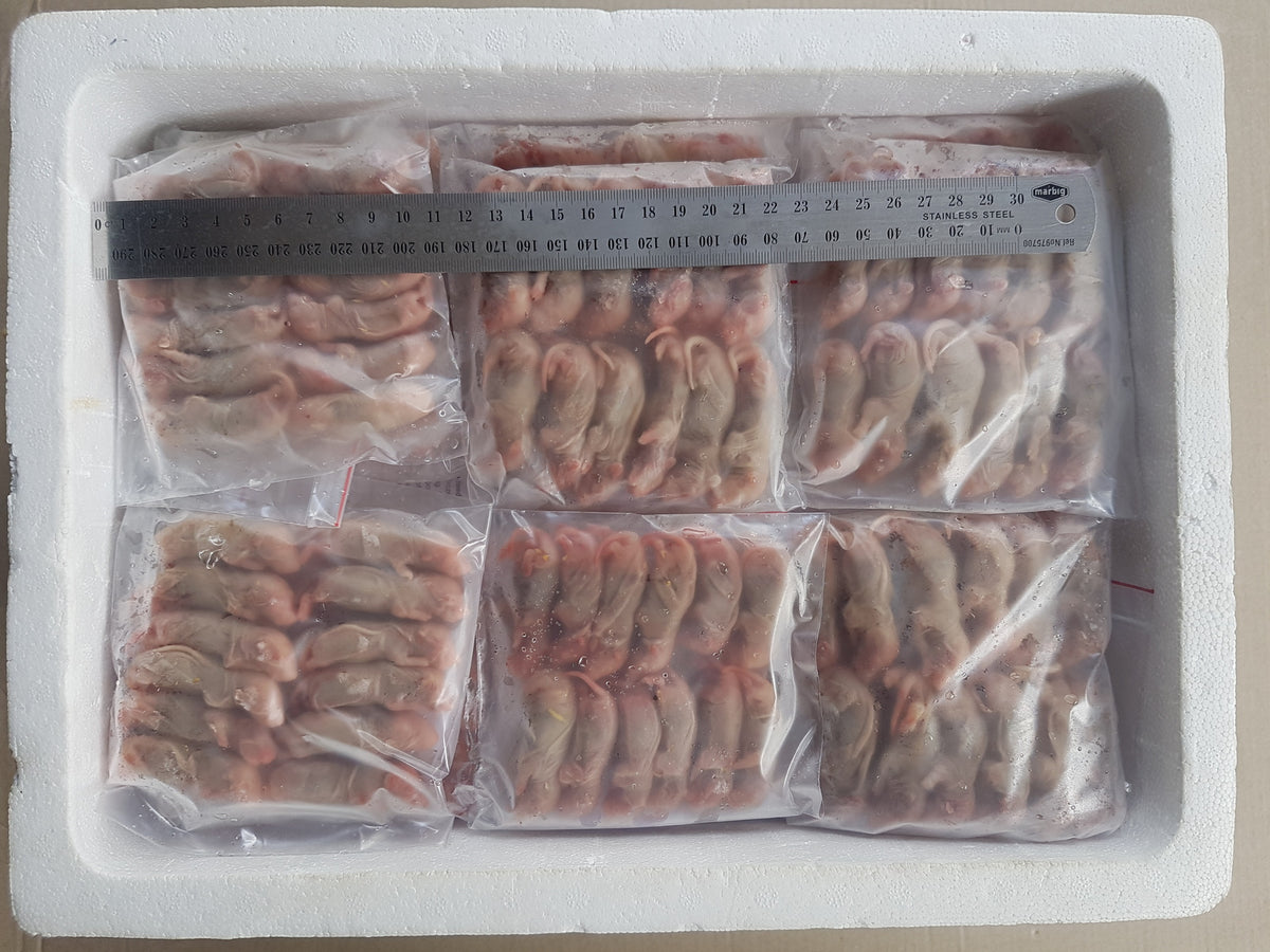 Frozen Pinkie Rats | Best Online Frozen Reptile Food Supplier |Frozen ...