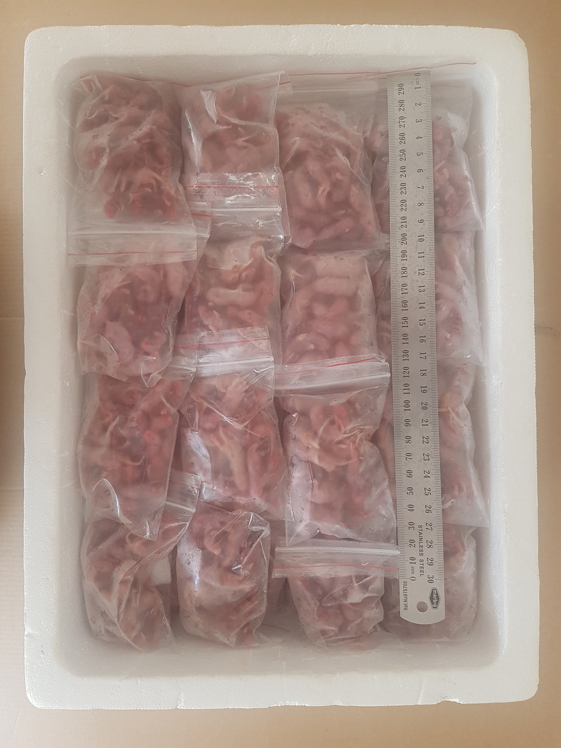 Frozen Pinkie Mice Best Online Frozen Reptile Food Supplier Frozen