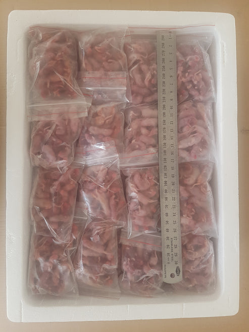 A closer look at Frozen Food Reptile Supplier