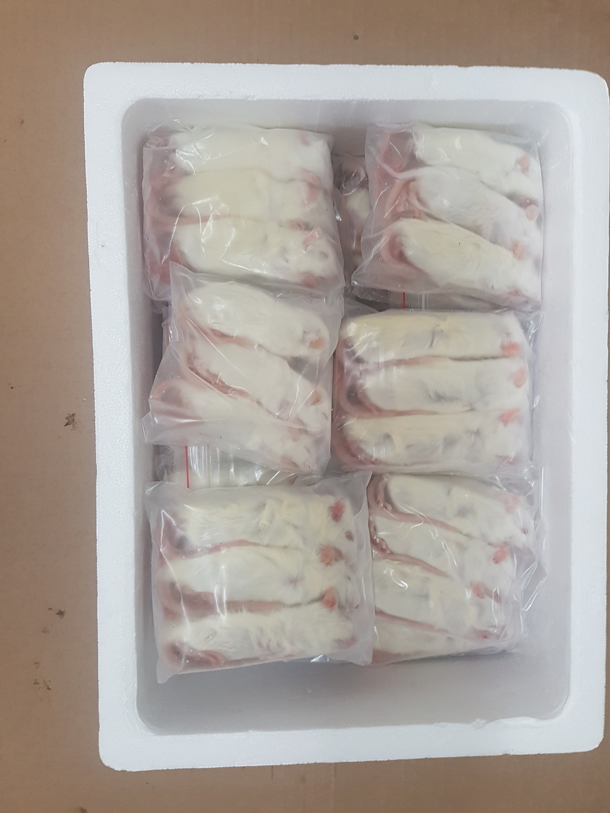 Frozen Rats | Best Online Frozen Reptile Food Supplier |Frozen Feeders ...