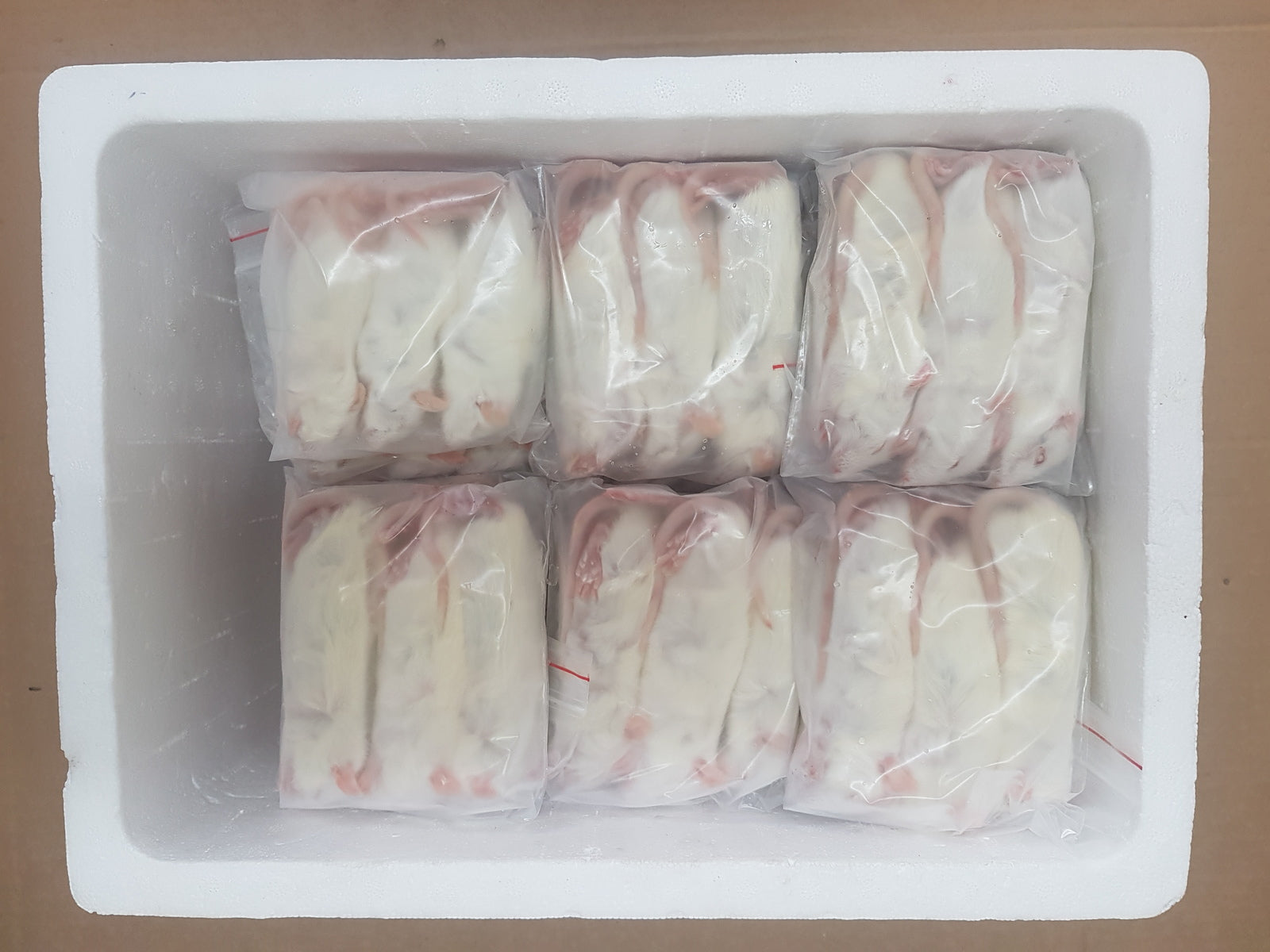 Frozen Rats | Best Online Frozen Reptile Food Supplier |Frozen Feeders ...