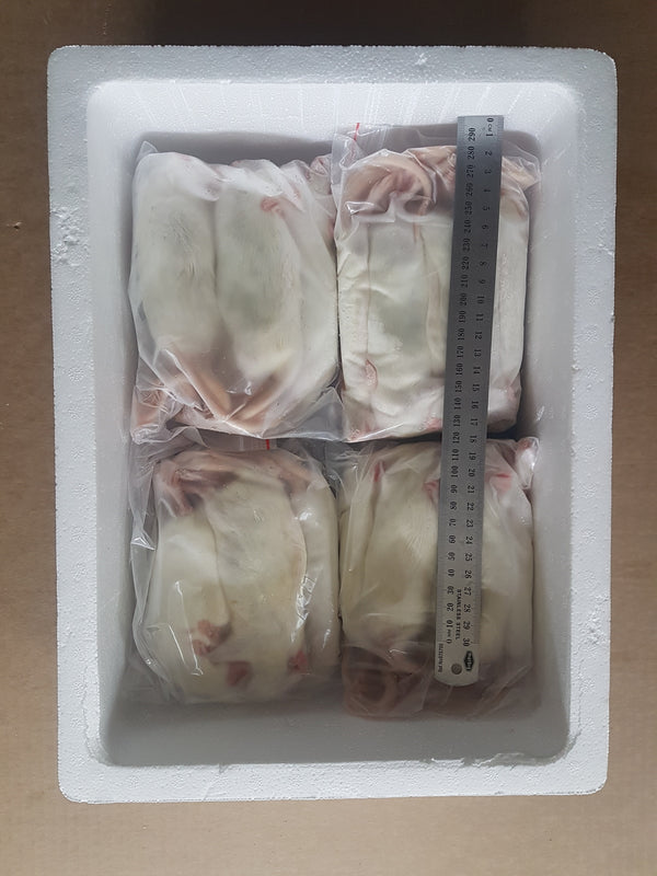 Frozen Rats | Best Online Frozen Reptile Food Supplier |Frozen Feeders ...
