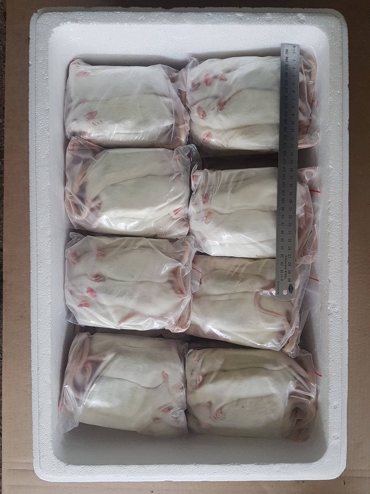 Frozen Rats | Best Online Frozen Reptile Food Supplier |Frozen Feeders ...