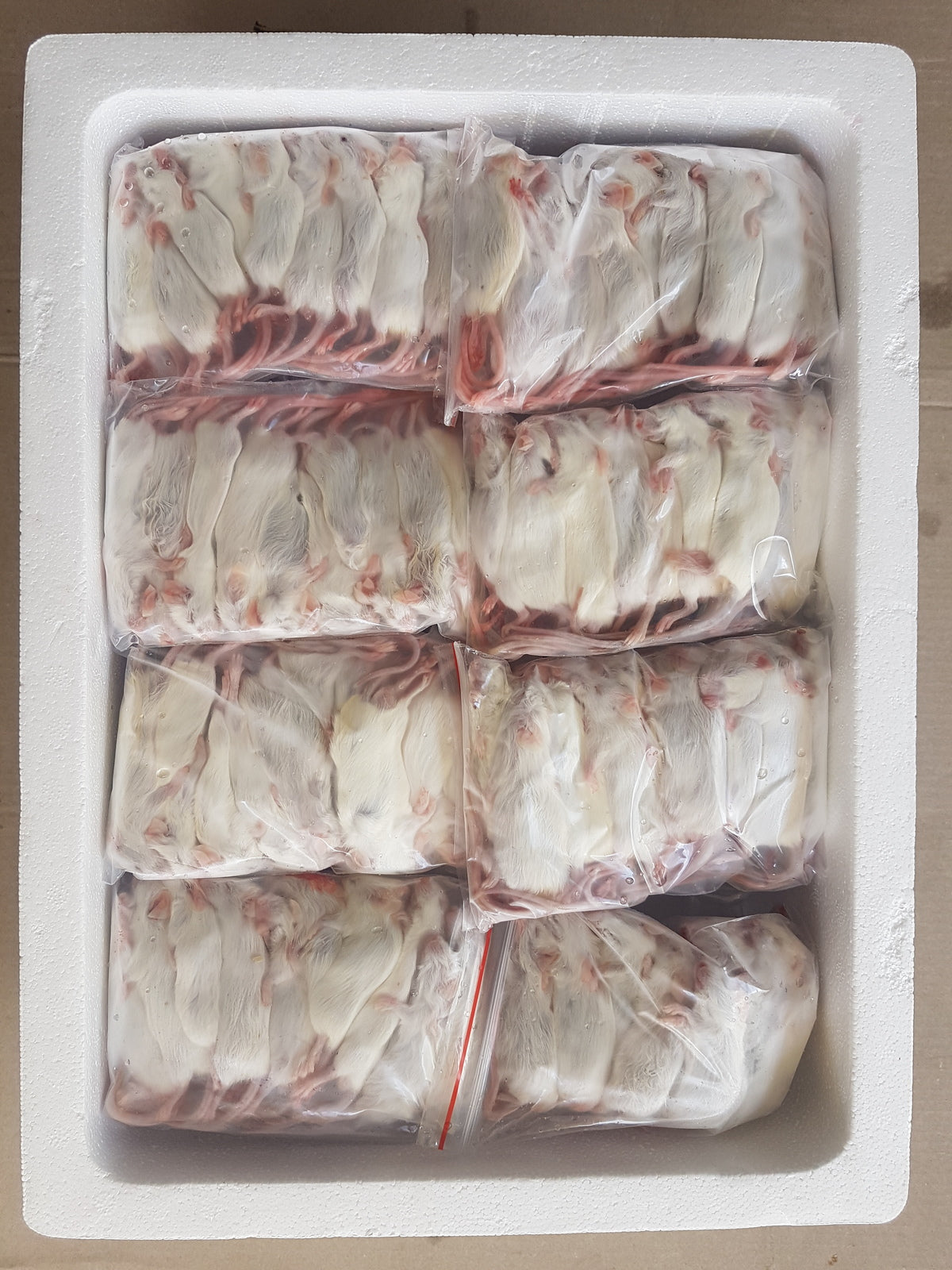 A closer look at Frozen Snake Meal Prep And Planning Software