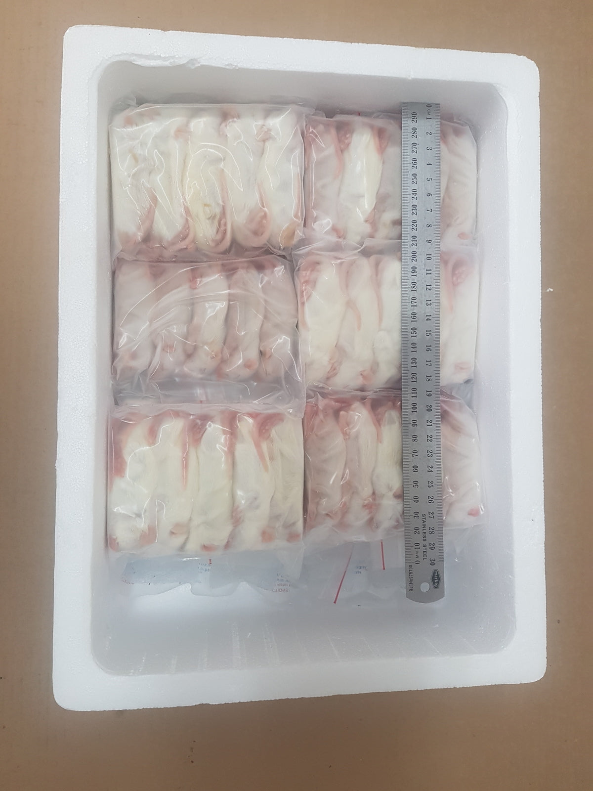 A closer look at Rat Frozen Thawed Food Options