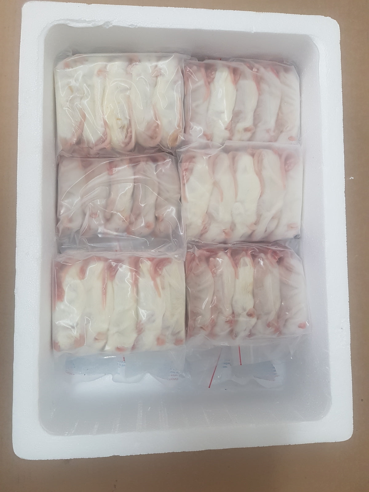 Stunning Frozen Snake Meal Prep Business image
