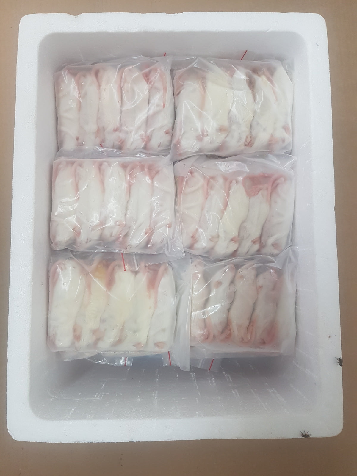 Illustration of Gray Hanni Frozen Thawed Snake Food Frozen Storage