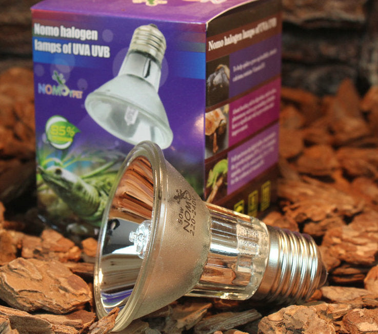 Big UVB Light | Reptile Terrarium Globe | Calcium Supplement Globe | E27 Standard Australian Light Fitting