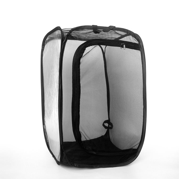 Foldable Insect Cage | Tent For Feeder Insects | Perfect Home for Stick Insects 