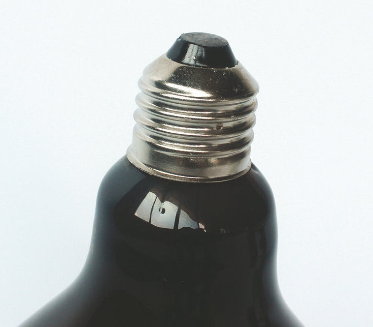 Premium Reptile Moonlight Lamp | Reptile heating and night light globe | ND-17