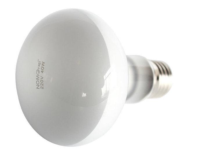 Vivarium Frosted UVA Lamp | Day Light Globe Reptile lighting globe | ND-05 | Provides some heat 
