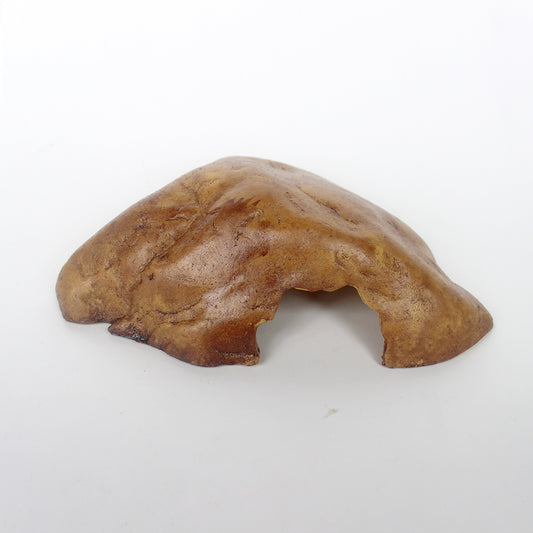 Reptile Brown Hide Cave